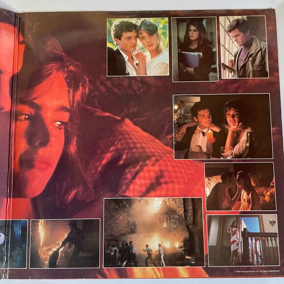 Endless Love Original Motion Picture Soundtrack USED BUT NICE Brooke Shields '81 - Picture 3 of 8